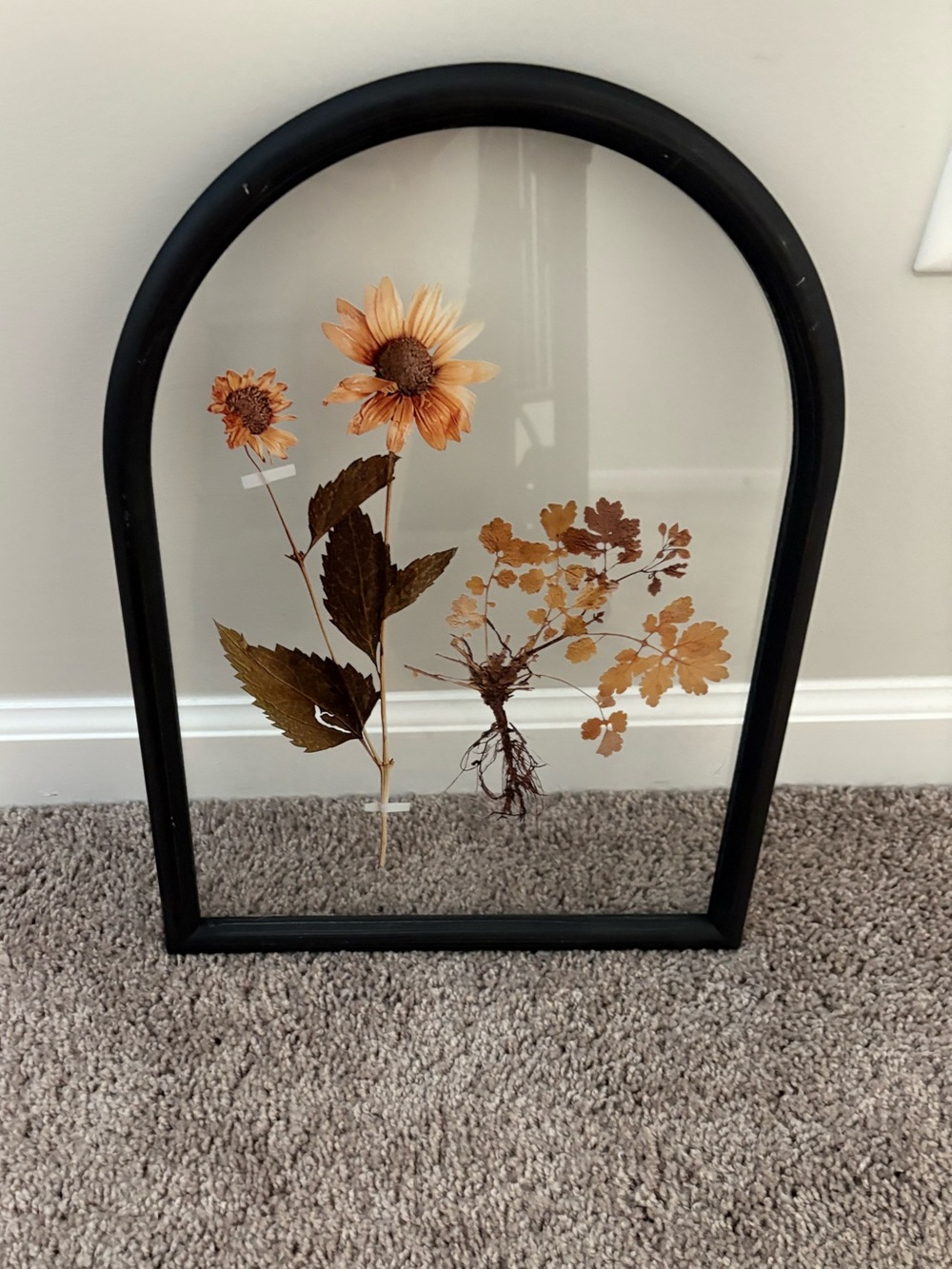 Hobby Lobby Black Arch Pressed Floral Wall Art - Orange and Brown Blooms
